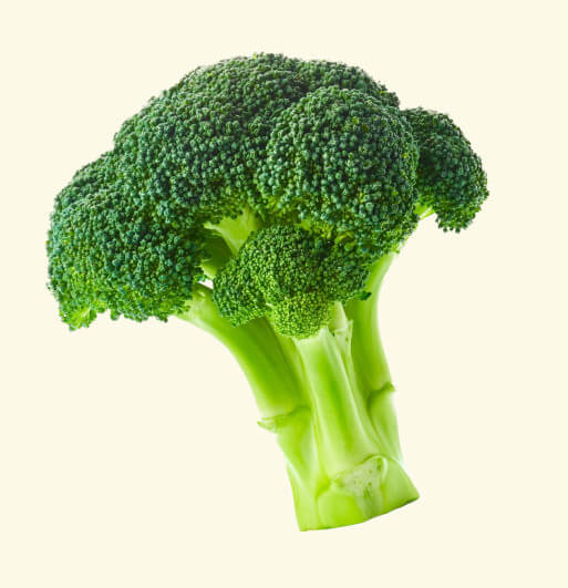 Fotka brokolice